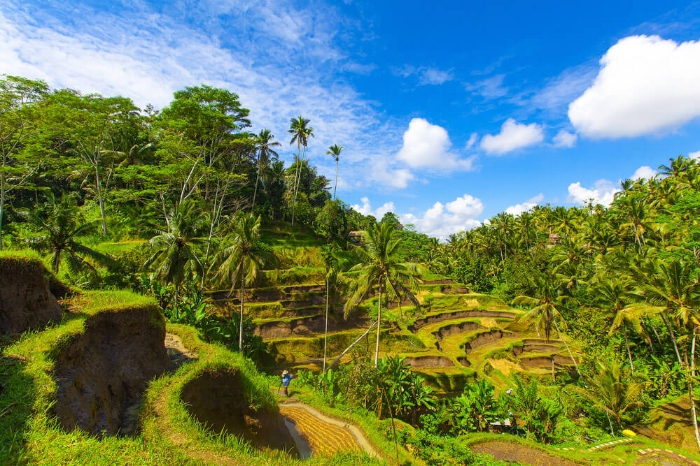 Tour Tết 2024] Thiên đường nghỉ dưỡng: Đảo Bali - Du Lịch Minh Anh