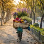 Kinh Nghiệm Du Lịch Hà Nội Mùa Thu Đẹp Đến Nao Lòng