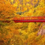 Hokkaido - Vùng đất đón mùa thu sớm nhất Nhật Bản