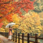 Top 10 điểm ngắm lá đỏ tuyệt đẹp mùa thu ở Nhật Bản