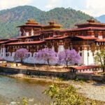 Mùa Phượng Tím ở Bhutan