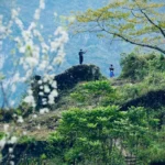 Hà Giang: Tầm xuân trên miền đá nở hoa