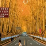 Giang Nam Trung Quốc mùa thu: Vẻ đẹp thơ mộng không thể bỏ lỡ